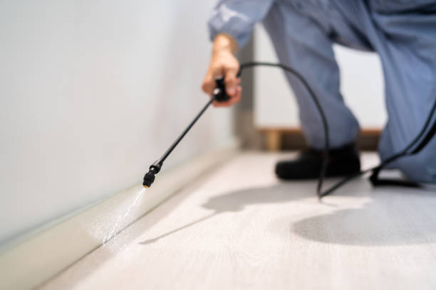 Licensed Termite Control service in Sheffield Lake, OH - Nex Pest Control