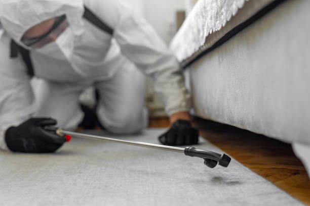 Professional Termite Control technician working in Sheffield Lake, OH