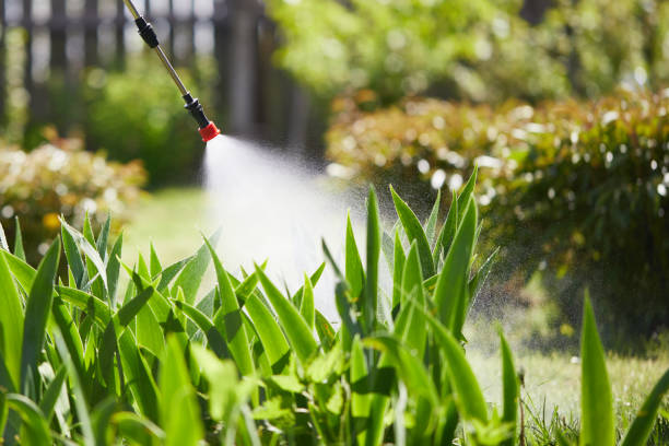 24/7 Emergency Termite Control experts in Sheffield Lake, OH