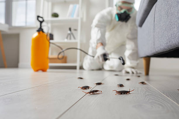 Trusted Termite Control service in Sheffield Lake, OH - Nex Pest Control