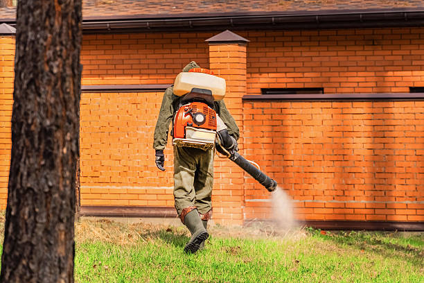 Trusted Ant Control service in Sheffield Lake, OH - Nex Pest Control